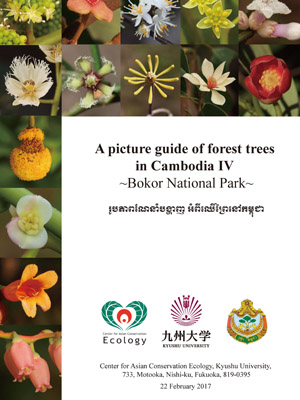 A picture guide of forest trees in Cambodia IV ~Bokor National Park~