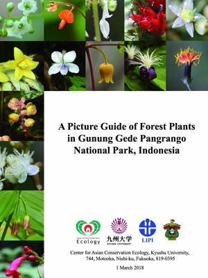 A Picture guide of forest plants in Gunung Gede Pangrango National Park, Indonesia