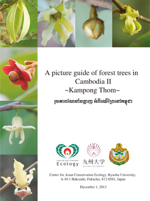 A picture guide of forest trees in Cambodia II ~Kampong Thom