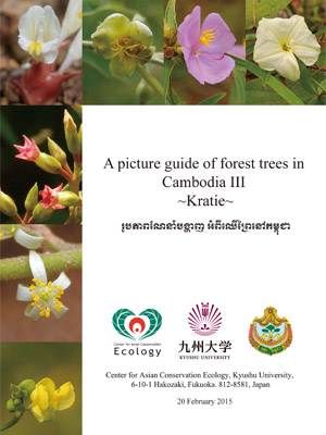 A picture guide of forest trees in Cambodia III ~Kratie~
